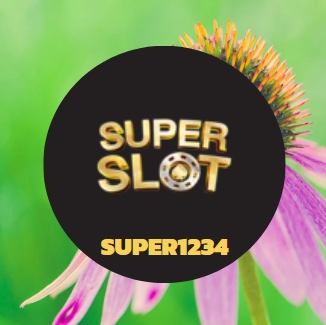super1234
